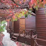 Changa Kemer