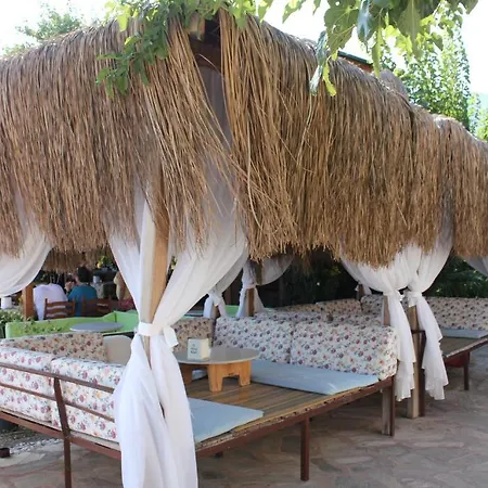 Отель Changa 4*